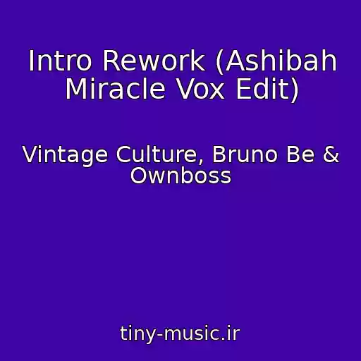 کاور آهنگ Intro Rework (Ashibah Miracle Vox Edit) از Vintage Culture, Bruno Be & Ownboss
