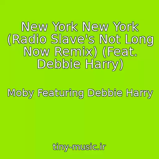 کاور آهنگ New York New York (Radio Slave's Not Long Now Remix) (Feat. Debbie Harry) از Moby Featuring Debbie Harry