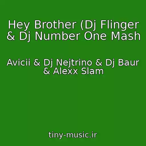 کاور آهنگ Hey Brother (Dj Flinger & Dj Number One Mash از Avicii & Dj Nejtrino & Dj Baur & Alexx Slam