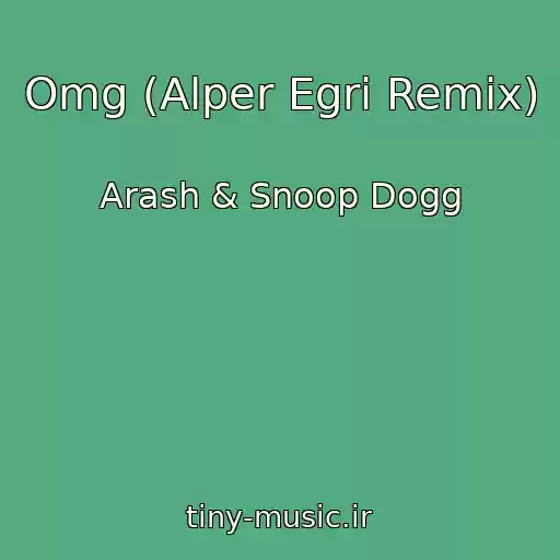 کاور آهنگ Omg (Alper Egri Remix) از Arash & Snoop Dogg