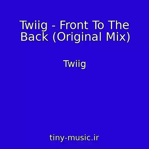 کاور آهنگ Twiig - Front To The Back (Original Mix) از Twiig