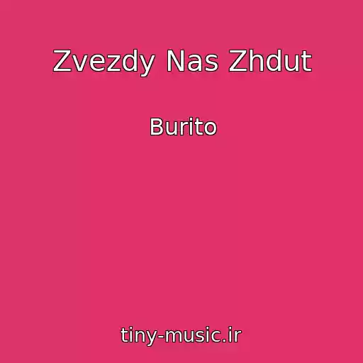 کاور آهنگ Zvezdy Nas Zhdut از Burito