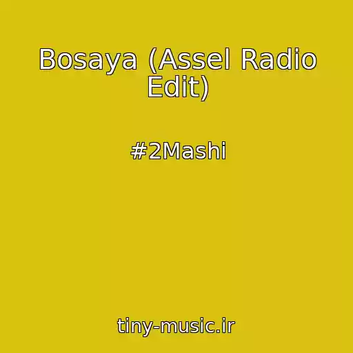کاور آهنگ Bosaya (Assel Radio Edit) از #2Mashi