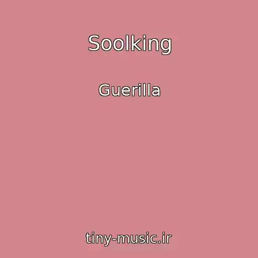 کاور آهنگ Soolking از Guerilla
