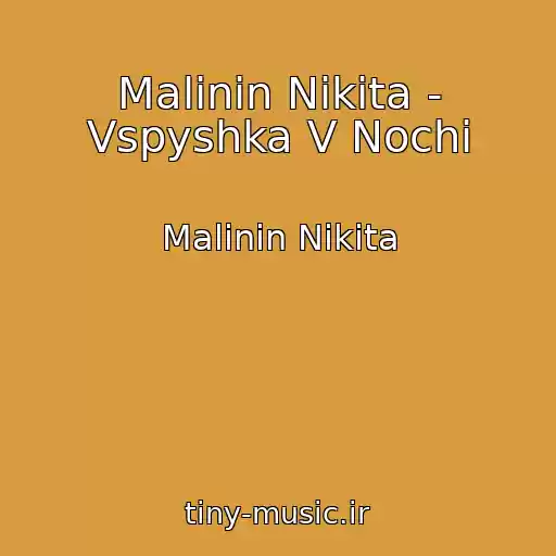 کاور آهنگ Malinin Nikita - Vspyshka V Nochi از Malinin Nikita