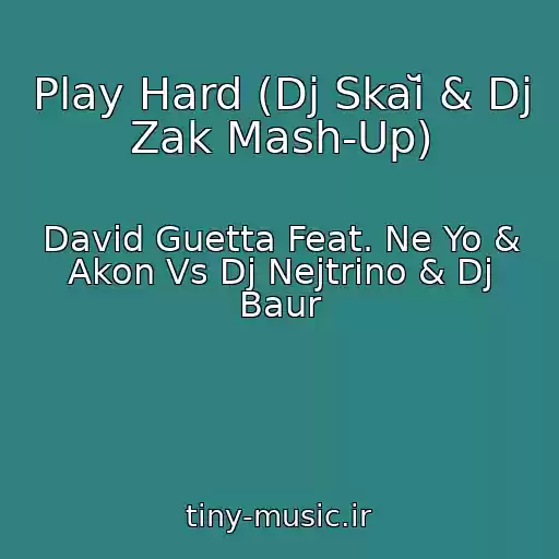 کاور آهنگ Play Hard (Dj Skaĭ & Dj Zak Mash-Up) از David Guetta Feat. Ne Yo & Akon Vs Dj Nejtrino & Dj Baur