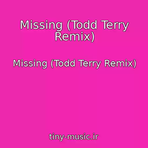 کاور آهنگ Missing (Todd Terry Remix) از Missing (Todd Terry Remix)