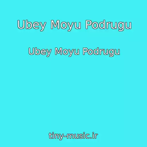 کاور آهنگ Ubey Moyu Podrugu از Ubey Moyu Podrugu