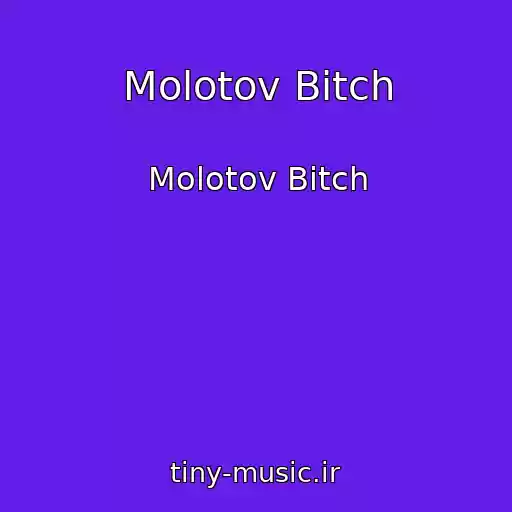 کاور آهنگ Molotov Bitch از Molotov Bitch
