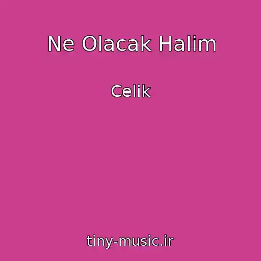 کاور آهنگ Ne Olacak Halim از Celik