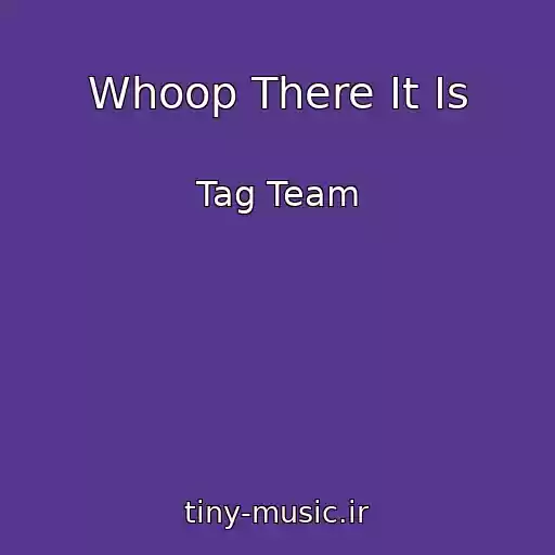 کاور آهنگ Whoop There It Is از Tag Team