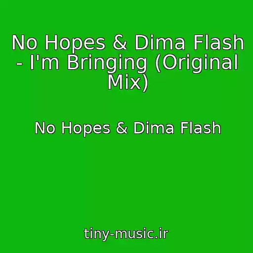 کاور آهنگ No Hopes & Dima Flash - I'm Bringing (Original Mix) از No Hopes & Dima Flash