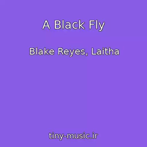کاور آهنگ A Black Fly از Blake Reyes, Laitha