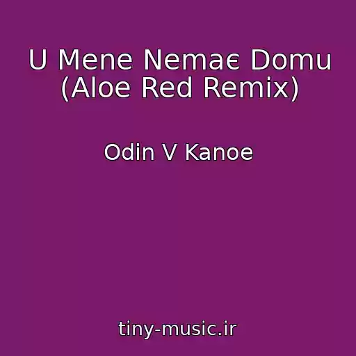 کاور آهنگ U Mene Nemaє Domu (Aloe Red Remix) از Odin V Kanoe