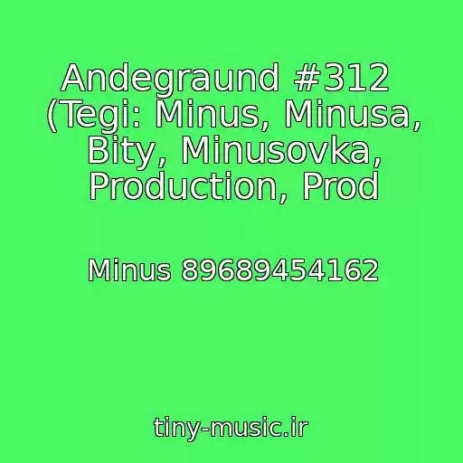 کاور آهنگ Andegraund #312  (Tegi: Minus, Minusa, Bity, Minusovka, Production, Prod از Minus 89689454162
