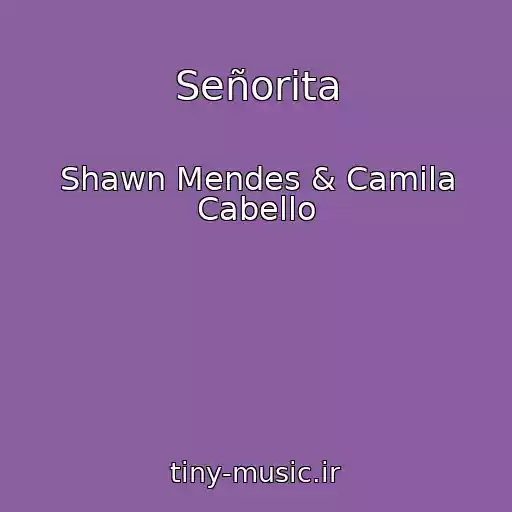 کاور آهنگ Señorita از Shawn Mendes & Camila Cabello