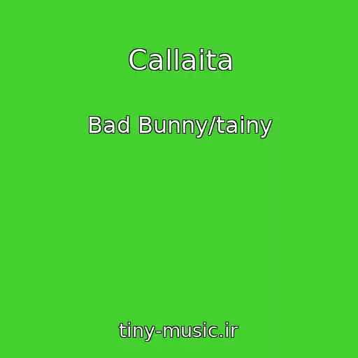 کاور آهنگ Callaita از Bad Bunny/tainy