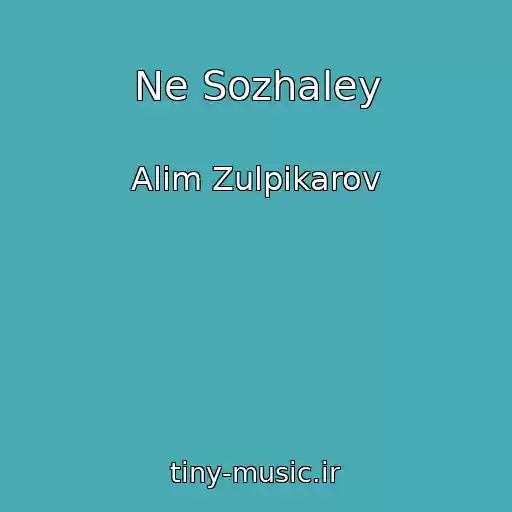 کاور آهنگ Ne Sozhaley از Alim Zulpikarov