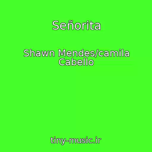 کاور آهنگ Señorita از Shawn Mendes/camila Cabello