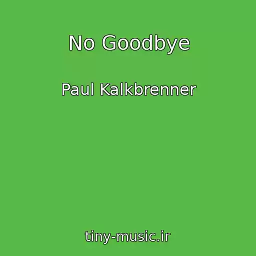 کاور آهنگ No Goodbye از Paul Kalkbrenner