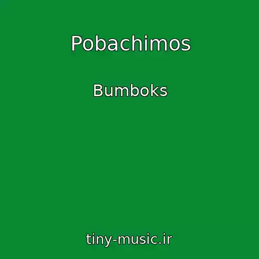 کاور آهنگ Pobachimos از Bumboks
