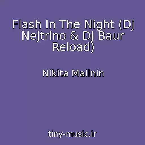 کاور آهنگ Flash In The Night (Dj Nejtrino & Dj Baur Reload) از Nikita Malinin