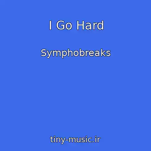 کاور آهنگ I Go Hard از Symphobreaks