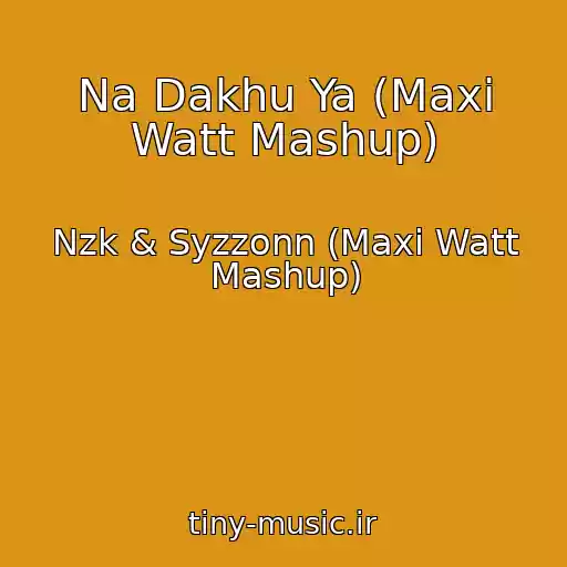 کاور آهنگ Na Dakhu Ya (Maxi Watt Mashup) از Nzk & Syzzonn (Maxi Watt Mashup)
