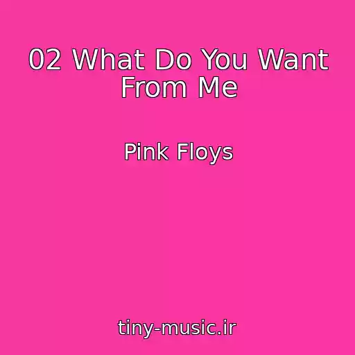 کاور آهنگ 02 What Do You Want From Me از Pink Floys