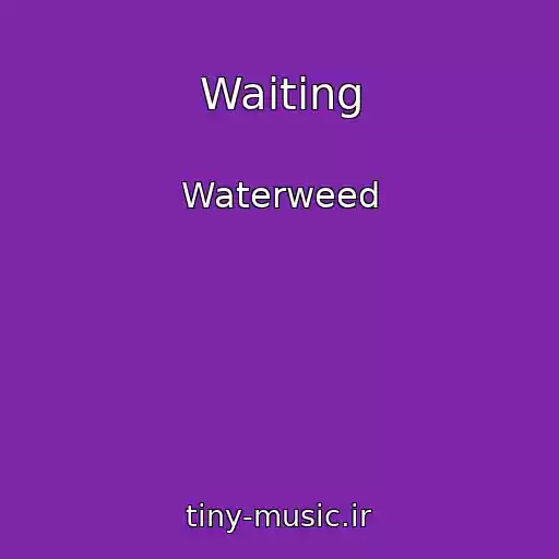 کاور آهنگ Waiting از Waterweed