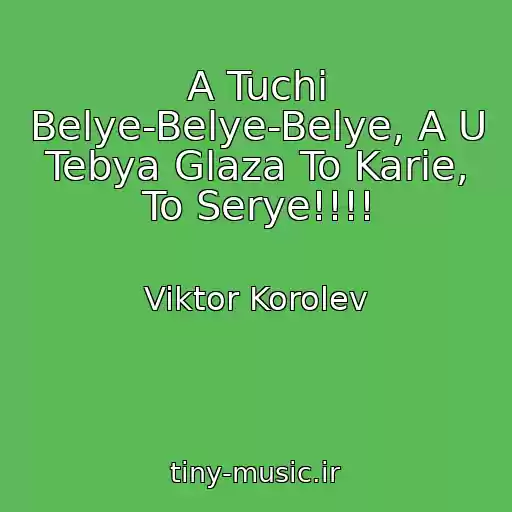 کاور آهنگ A Tuchi Belye-Belye-Belye, A U Tebya Glaza To Karie, To Serye!!!! از Viktor Korolev