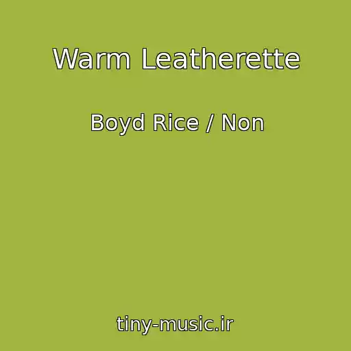 کاور آهنگ Warm Leatherette از Boyd Rice / Non