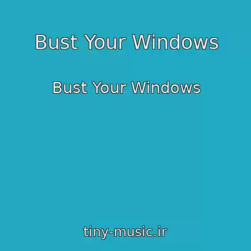 کاور آهنگ Bust Your Windows از Bust Your Windows