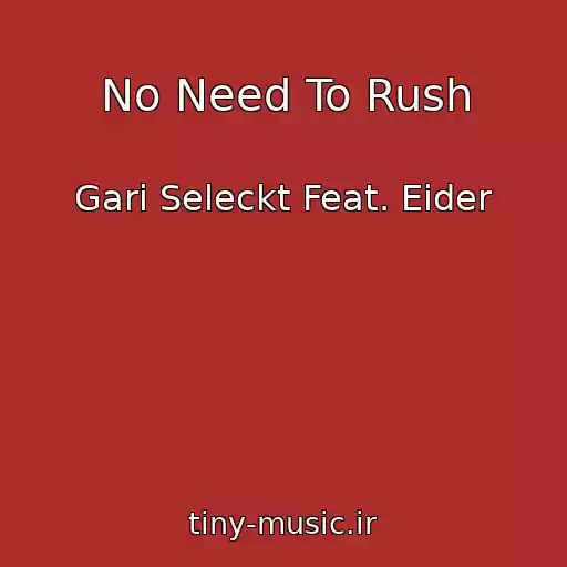 کاور آهنگ No Need To Rush از Gari Seleckt Feat. Eider