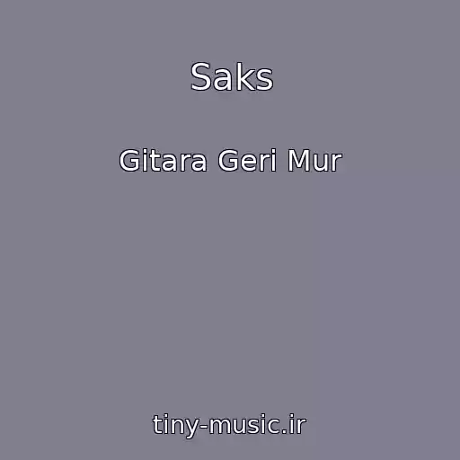 کاور آهنگ Saks از Gitara Geri Mur