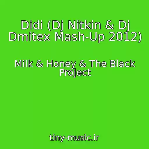 کاور آهنگ Didi (Dj Nitkin & Dj Dmitex Mash-Up 2012) از Milk & Honey & The Black Project