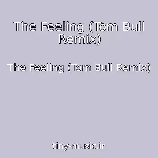 کاور آهنگ The Feeling (Tom Bull Remix) از The Feeling (Tom Bull Remix)