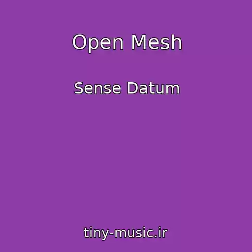 کاور آهنگ Open Mesh از Sense Datum