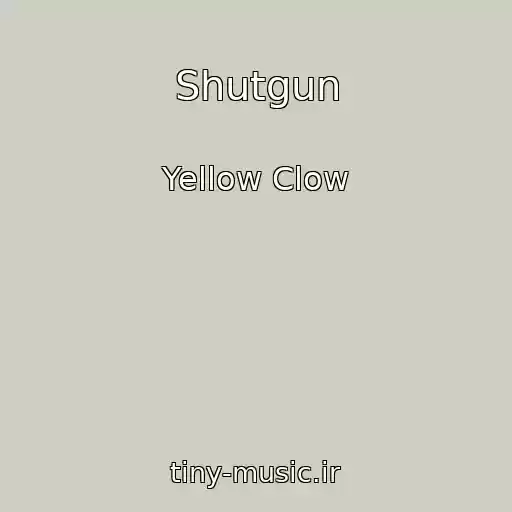 کاور آهنگ Shutgun از Yellow Clow
