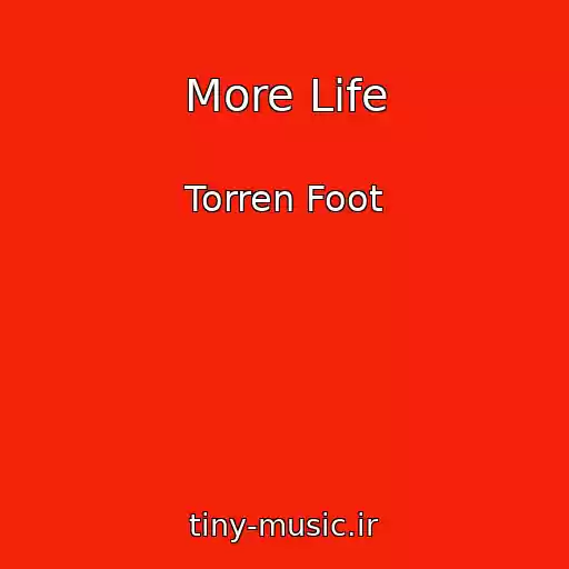 کاور آهنگ More Life از Torren Foot