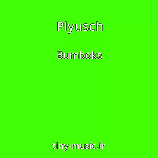کاور آهنگ Plyusch از Bumboks