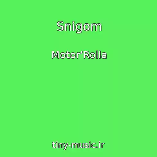 کاور آهنگ Snіgom از Motor’Rolla