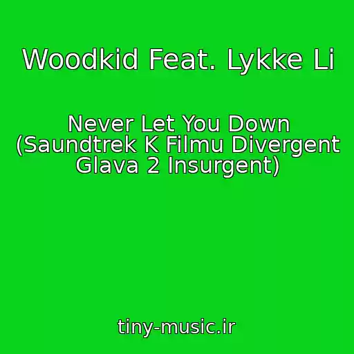 کاور آهنگ Woodkid Feat. Lykke Li از Never Let You Down (Saundtrek K Filmu Divergent Glava 2 Insurgent)