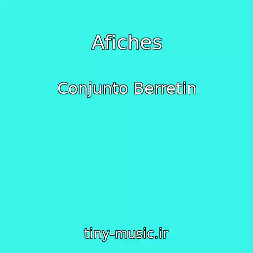 کاور آهنگ Afiches از Conjunto Berretin