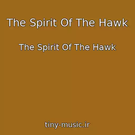 کاور آهنگ The Spirit Of The Hawk از The Spirit Of The Hawk