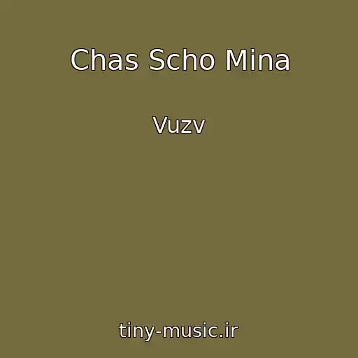 کاور آهنگ Chas Scho Mina از Vuzv