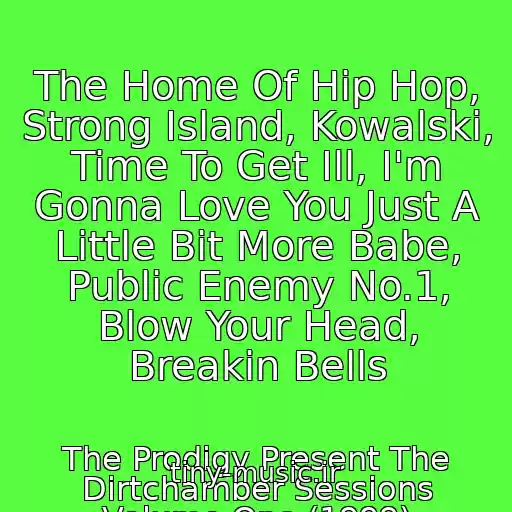 کاور آهنگ The Home Of Hip Hop, Strong Island, Kowalski, Time To Get Ill, I'm Gonna Love You Just A Little Bit More Babe, Public Enemy No.1, Blow Your Head, Breakin Bells از The Prodigy Present The Dirtchamber Sessions Volume One (1999)