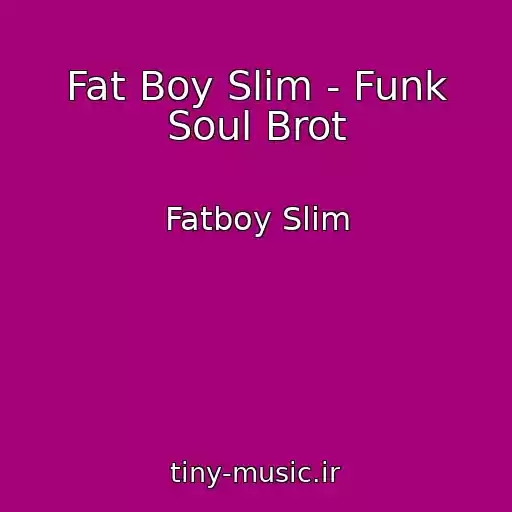 کاور آهنگ Fat Boy Slim - Funk Soul Brot از Fatboy Slim