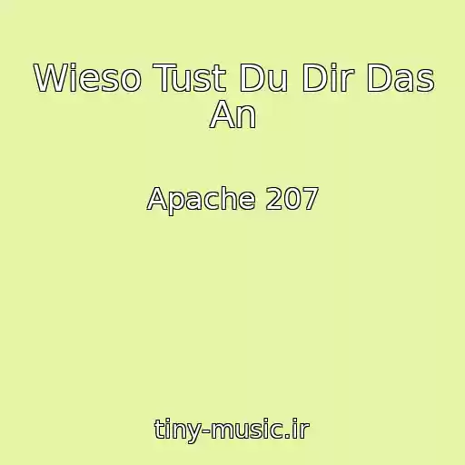 کاور آهنگ Wieso Tust Du Dir Das An از Apache 207