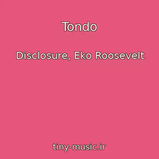 کاور آهنگ Tondo از Disclosure, Eko Roosevelt